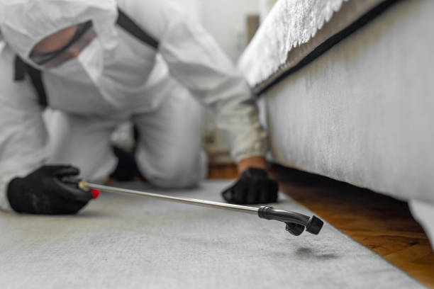 Professional Termite Control technician working in Putnam Lake, NY