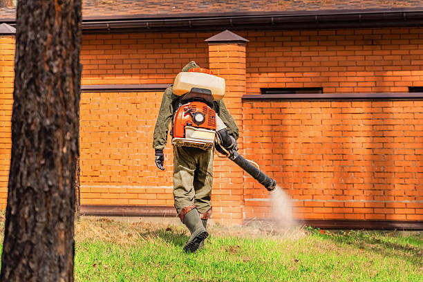 Trusted Mosquito Control service in Putnam Lake, NY - Nex Pest Control